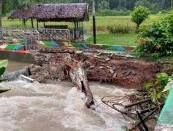 Banjir Melanda Pariaman, Jembatan Roboh dan Pohon Tumbang