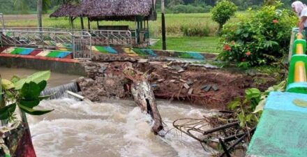 Banjir Melanda Pariaman, Jembatan Roboh dan Pohon Tumbang