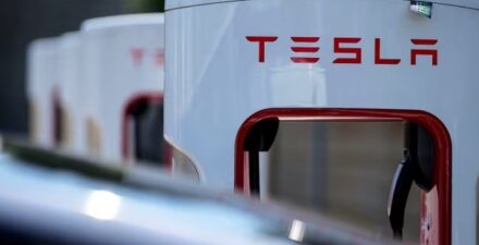 Tesla tebang 500 ribu pohon demi bangun pabrik kendaraan ramah lingkungan.