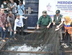 Gubernur Mahyeldi Lepas Ekspor 11 Ton Ikan Kerapu Sumbar Menuju Hongkong