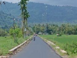 25 Tahun Penantian Jalan Aspal Rancak ke Kasang