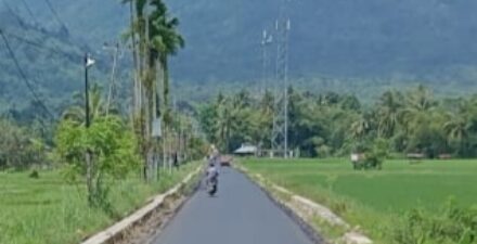 25 Tahun Penantian Jalan Aspal Rancak ke Kasang