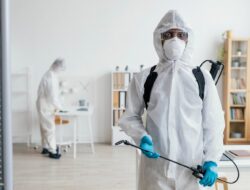 Jasa Pest Control Jakarta Profesional Hiraeth Indonesia Solusi Basmi Rayap