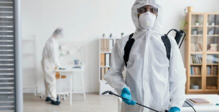 Jasa Pest Control Jakarta Profesional