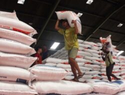 Produksi Beras Turun, Bulog Siapkan Cadangan Beras Impor hingga Desember 2024