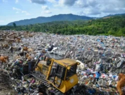 70 Persen Sampah Padang Berupa Sampah Organik