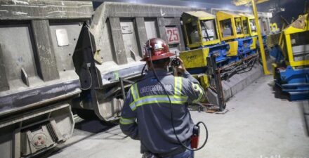 PT Freeport Indonesia Buka Lowongan Kerja untuk Fresh Graduate, Ini Daftar Jurusannya