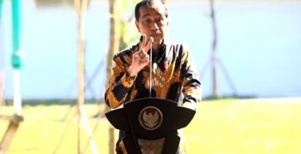 Jokowi Dorong Investasi Swasta di Ibu Kota Nusantara