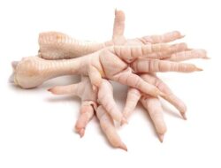 Manfaat dan Risiko Kolesterol dalam Ceker Ayam