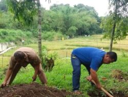 Pembuatan Biopori di Taman Bidadari, Solusi Mengatasi Banjir