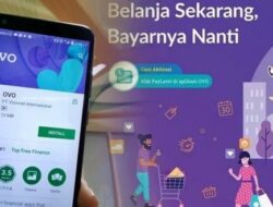 OVO Paylater, Cara Daftar dan Gunakan Layanan Cicilan