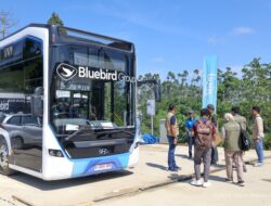 IKN Buka Pintu untuk Pengunjung, Tata Cara dan Panduan Kunjungan