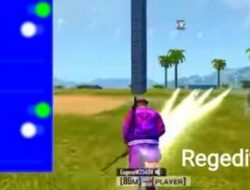 Risiko dan Keuntungan Menggunakan Rege FF Regedit Free Fire APK 2024