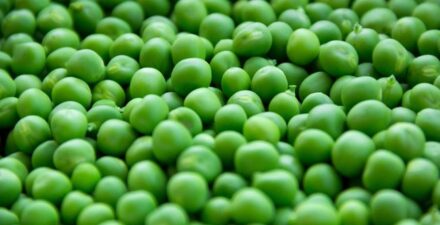 Sayuran yang Sebaiknya Dihindari Penderita Asam Urat