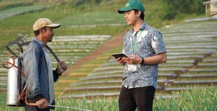 Kontribusi Sektor Pertanian Terhadap PDB dan Tenaga Kerja Terus Menyusut