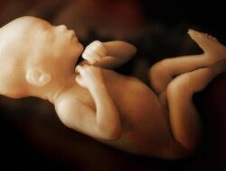 Kelahiran Prematur Jadi Penyebab Utama Kematian Bayi di Indonesia