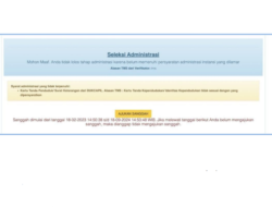 Solusi Bagi Pelamar CPNS 2024 yang Belum Terima Hasil