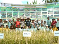 Metode TOT Mulai Diterapkan Untuk Ketahanan Pangan di Solsel