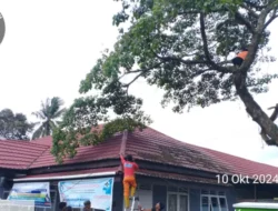 Antisipasi Bencana, BPBD Lakukan Penebangan Pohon di Puskesmas Taram
