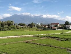 PVMBG Catat Empat Letusan Gunung Marapi dalam Sehari