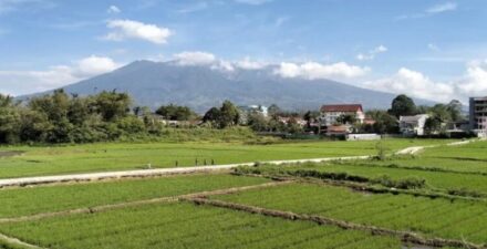 PVMBG Catat Empat Letusan Gunung Marapi dalam Sehari