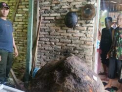 Pohon Tumbang dan Longsor Ganggu Akses Jalan di Kota Padang