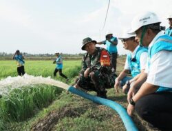 Listrik untuk Pertanian, PLN Pasok Energi ke Food Estate Merauke