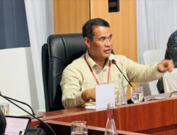 Langkah Strategis Menteri Pertanian Amran Wujudkan Swasembada Pangan 2024