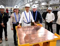 Pemerintah Jokowi Sukses Dorong Hilirisasi Mineral Selama Satu Dekade