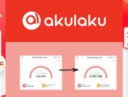 Pahami Produk Pinjaman Akulaku, Tunai dan Paylater