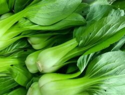 Sayuran Tinggi Kalsium yang Penting untuk Usia Lanjut