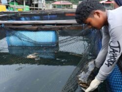 DPRD Sumbar, Mentawai Ideal untuk Pengembangan Sektor Perikanan