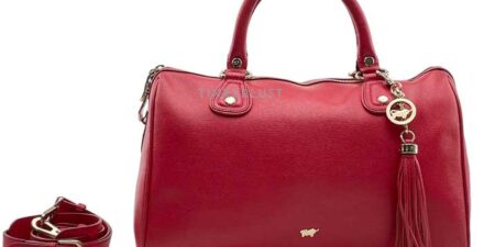 Braun Buffel