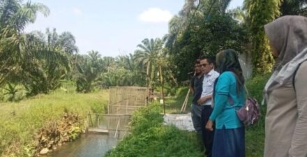 Pasaman Barat Optimis Capai Target Produksi Ikan 2024