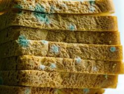 Makan Roti Berjamur Bisa Menyebabkan Keracunan, Waspadai Gejalanya
