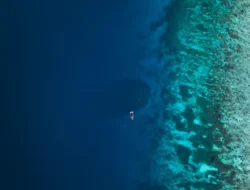 Karang Raksasa di Kepulauan Solomon Terlihat dari Luar Angkasa