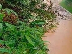 Tiga Titik Longsor di Nagari Simpang Utara, Pembersihan Masih Berlanjut