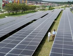 Panel Surya, Pabrik di Vietnam Kurangi Produksi Akibat Tarif AS