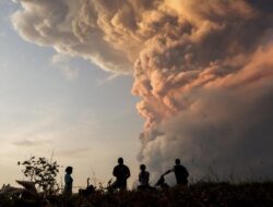 Letusan Gunung Lewotobi, 11.445 Warga Mengungsi