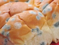 Makan Roti Berjamur? Ini Efeknya pada Kesehatan