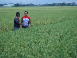 Pertamina Tanggulangi Masalah Irigasi di Indramayu dengan Inovasi Energi