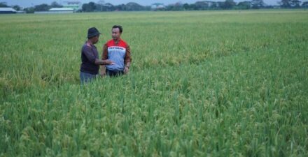 Pertamina Tanggulangi Masalah Irigasi di Indramayu dengan Inovasi Energi