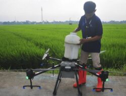 Program Sawah 1 Juta Ha, Petani Milenial Dukung Swasembada