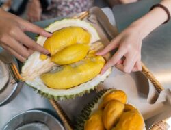 Manfaat Durian Untuk Ibu Hamil, Tidak Hanya Nikmat, Tapi Sehat