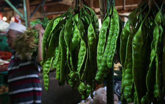 Petai diyakini bisa menurunkan gula darah. Berikut penjelasan dari ahli.