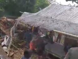 Tragedi di Situs Bulu Matanre, Pohon Tumbang Timpa Pengunjung