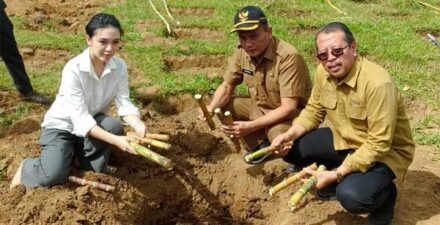 Pjs Bupati Agam Menginisiasi Pendirian Pabrik Gula Tebu di Matur