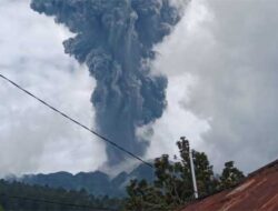 Siaga Erupsi Marapi, Masyarakat Agam dan Tanah Datar Diimbau Waspada Setelah Fenomena Turunnya Hewan Gunung