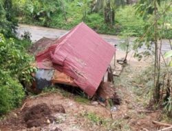 BPBD Pariaman Catat Pohon Tumbang Dominasi Bencana Dua Pekan Terakhir