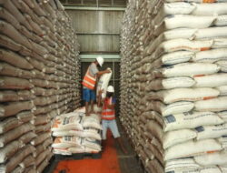 Arief Prasetyo: Persediaan Beras Cukup untuk Desember hingga Februari